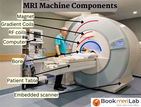 Mri Machine Cost Working Benefits And Risks
