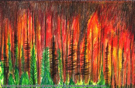 Scroll create a classic scroll from your image drawn with pencil explorer drawing create an explorer drawing during an expedition finishing touches complete a pencil drawing of your picture. Forest Fire Colored Pencils - Drawing Forest Fire with ...
