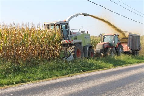Estimating Your Corn Silage Yield Farm And Dairy