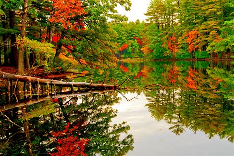 Autumn Pond Wallpapers Wallpaper Cave