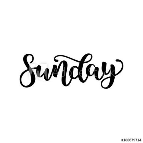 Sunday Handwriting Font By Calligraphy Vector Illustration