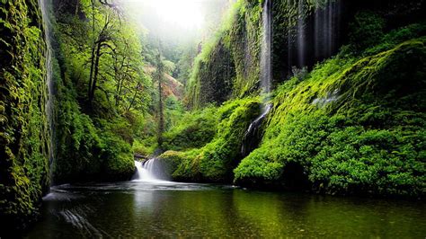 Hd Wallpaper Oregon River Water Waterfalls Nature Forest Woods