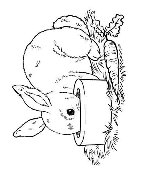 Easter bunny coloring pages for preschoolers. Easter Bunny Coloring page | Pet Bunny | Easter bunny ...