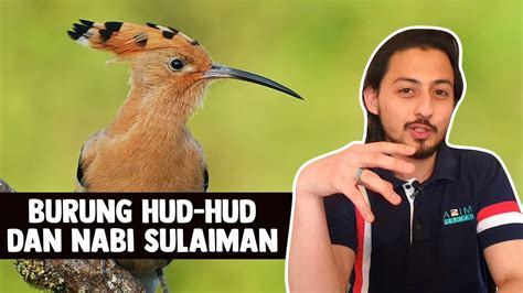 Burung Hud Hud Dan Nabi Sulaiman Youtube