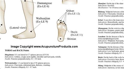 Acupuncture Points Chart Point Acupuncture Acupuncture Clinic