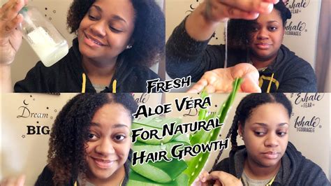 You'll be surprised to find aloe in many beauty products such as shampoos, conditioners, creams, and other such items. WHY YA'LL DIDN'T WARN ME?!🤦🏽‍♀️ | DIY ALOE VERA DEEP ...
