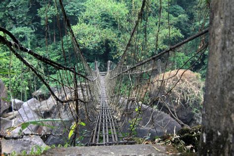 Suspension Bridge Through Tropical India Stock Photo Image Of India