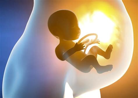 Cuarto Mes De Embarazo Síntomas Y Cuidados ¡incluye ImÁgenes