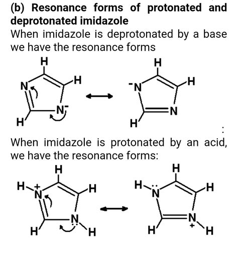 Solved Imidazole Forms Part Of The Structure Of The Amino Acid