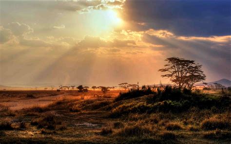 Serengeti National Park Tanzania The Complete Guide