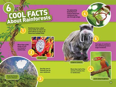 正版 Rainforests L2 National Geographic Kids Readers 最抵價 買書書