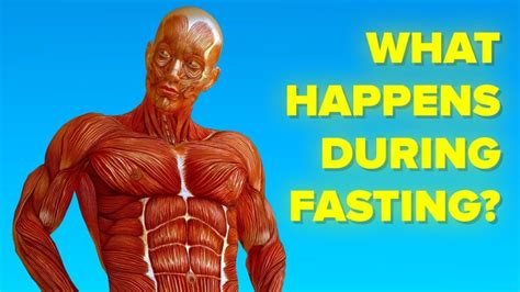 Video Infographic What Happens To Your Body When You Dont Eat Fast