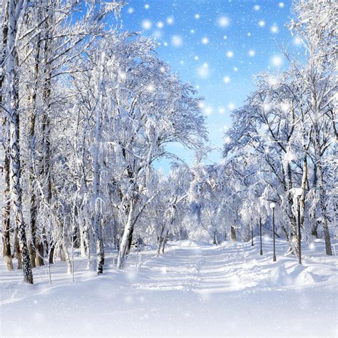 Winter Scenery Snowstorm Stock Image Image Of Christmas 34291327