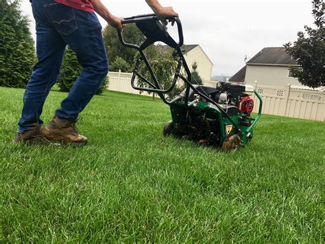 How tall are your shoots and what type of seed did you plant? Lawn Aeration in Northern Texas: When, Why, and More Questions and Answers