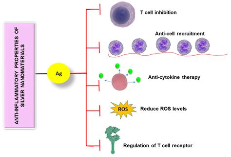 Nanomaterials Free Full Text The Impact Of Engineered Silver