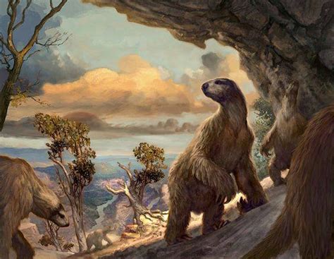 Megalonyx Jeffersonii Or Jefferson Ground Sloths A Large Heavily