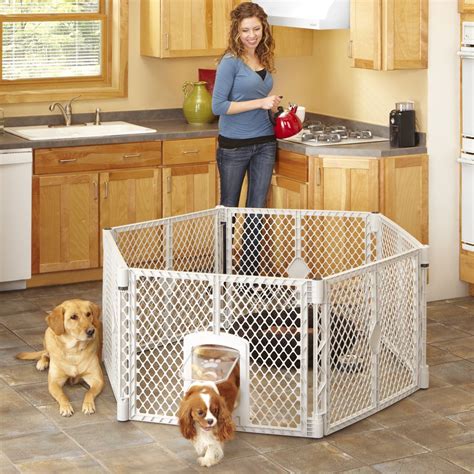 Your Ultimate Expert Guide To Crate Training A Puppy Dog Playpen