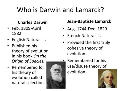 Ppt Theory Of Evolution Darwin Vs Lamarck Powerpoint Presentation