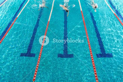 Three Male Swimmers Racing Against Each Other In A Swiming Pool Royalty