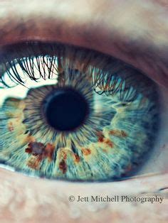 Eye Iris Pupil Il Occhio Ojo Color Texture