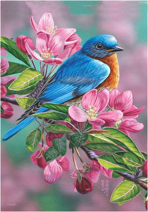 Jeffrey Hoff Bluebird And Dogwood Blossoms Bird Art Birds Painting