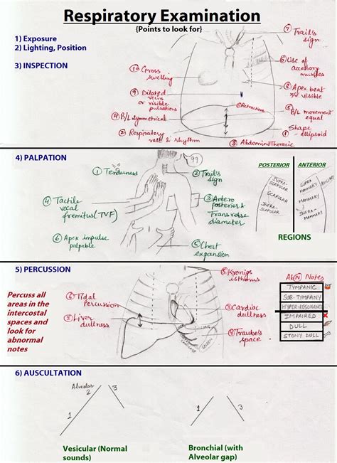 When in doubt, always check with the organization or individual who. Respiratory examination - Wikiwand