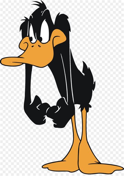 Daffy Duck Youre Despicable Looney Tunes Cartoons Classic Cartoon
