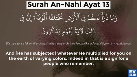 Surah An Nahl Ayat 13 16 13 Quran With Tafsir My Islam