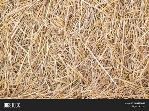 Detail Close Dry Straw Image And Photo Free Trial Bigstock