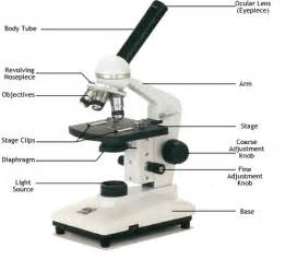 Image result for labeled microscope