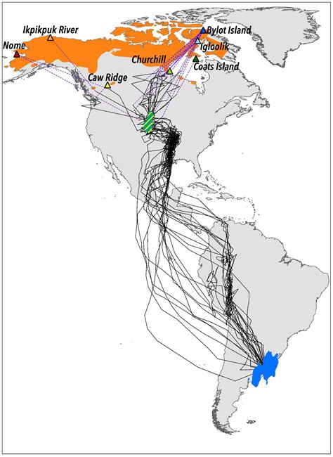 Frontiers Timing Of Breeding Site Availability Across The North