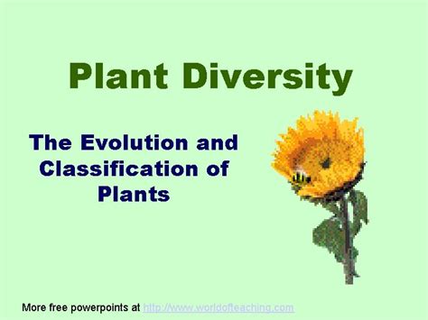 Plant Diversity The Evolution And Classification Of Plants