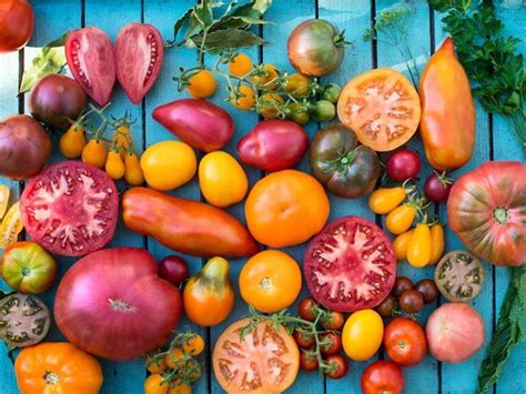 20 Mind Blowing Hybrid Fruits And Vegetables 2023