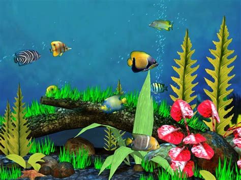 Fish Aquarium 3d Screensaver Download For Free Softdeluxe