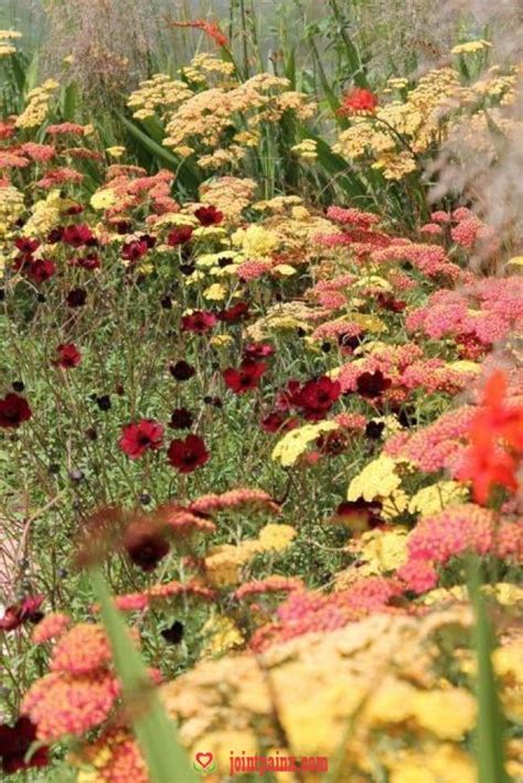 Made in design, 10 euro rabatt — madeindesign 2019! rabatt anlegen David Domoney 21 July 2015 Garden of the ...