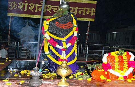 Lord Shani Dev Puja Vidhi ऐसे करें शनिदेव की पूजा शनि दोष होंगे दूर