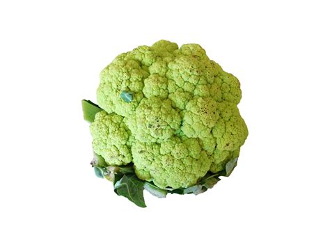 Head Of Broccoli Isolated On A White Background 2255202 Stock Photo At