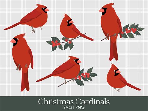 Cardinal Bird Svg Bundle Red Cardinal Svg Memorial Svg Etsy