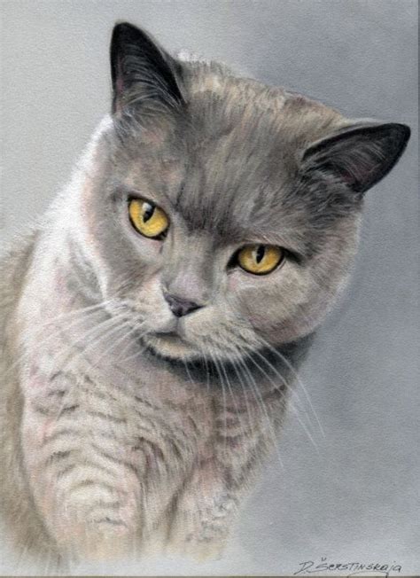 Artfinder British Shorthair Cat By Danguole Serstinskaja Pastel