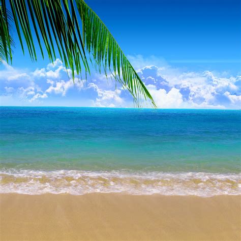 Beach Backgrounds For Wallpaper 80 Images