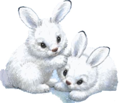 Gif Lapins