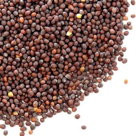 Black Mustard Seeds 100g Packaging Packet Rs 60 Kilogram Id