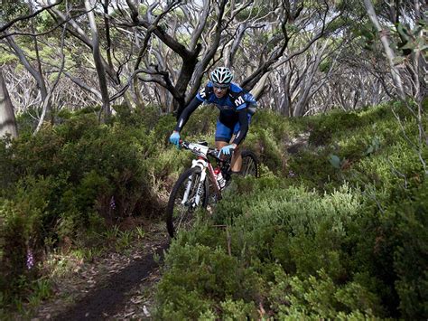 Mountain biking requires a combination of strength, endurance and skill. Cycling trails, Gippsland, Victoria, Australia