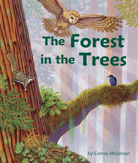 The Forest In The Trees A Childrens Book About The Redwood Canopy
