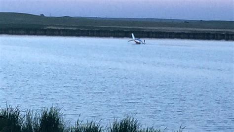 North Dakota Airplane Crashes Into Lake Killing Pilot Two Passengers