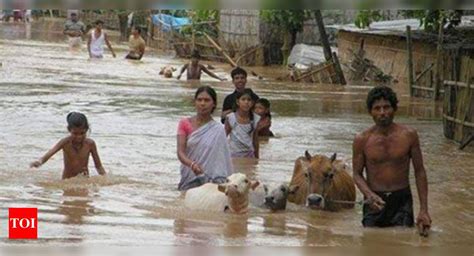 Assam Flood News Assam Flood Situation Remains Grim 5 More Dead