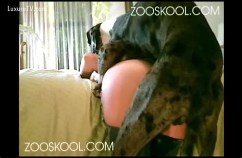 Sexy Dark Brown Presents Her A Hole For Dog Fucking Xxx