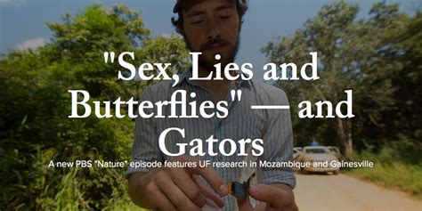 Pbs Sex Lies And Butterflies Features Uf Research News