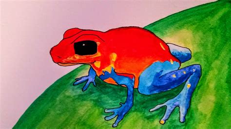 Strawberry Poison Dart Frog By Bluecornflowerlin On Deviantart