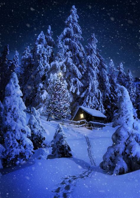 Night Winter Winter Landscape Winter Pictures